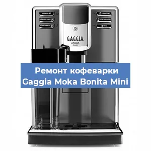 Чистка кофемашины Gaggia Moka Bonita Mini от кофейных масел в Красноярске